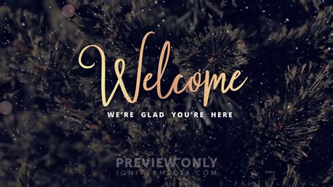 Christmas Tree - Welcome - Title Graphics | Life Scribe Media