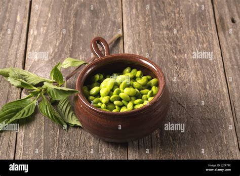 Soybean Material Hi Res Stock Photography And Images Alamy