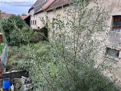 Vente Maison Secteur Rohrbach Les Bitche Pi Ces M