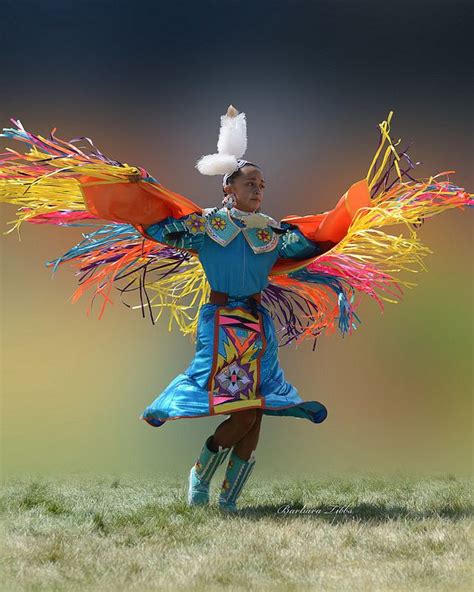 Spreading Her Wings Native American Dance Fancy Shawl Pow Wow