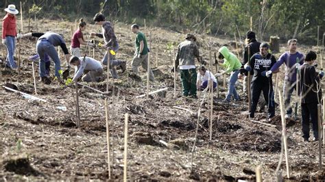 La Xunta Destina 1 3 Millones A Regenerar Los Montes De Vigo Que