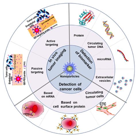 Nanotechnology improves cancer detection and diagnosis | Download ...