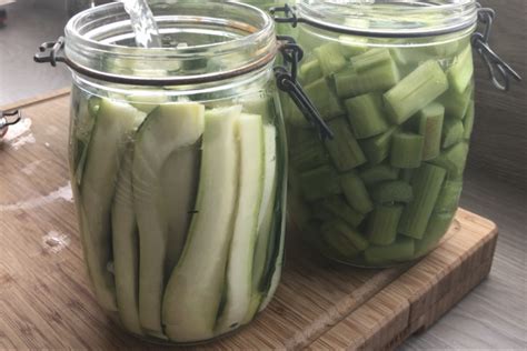 Lacto Fermentation En Saumure Le Blog De Mimagusta