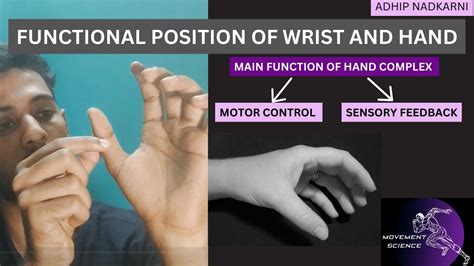 Functional Position Of Hand Hand Complex Biomechanicsphysiotherapy