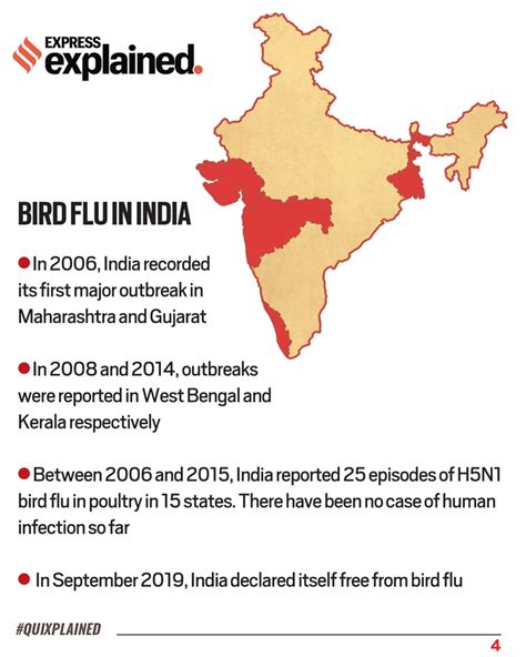 Bird Flu In Humans 2024 India Nissy Andriana