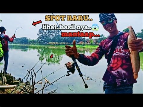 Part 2 Mancing Mania Spot Baru Bikin Ketagihan Strike Bertubi Tubi