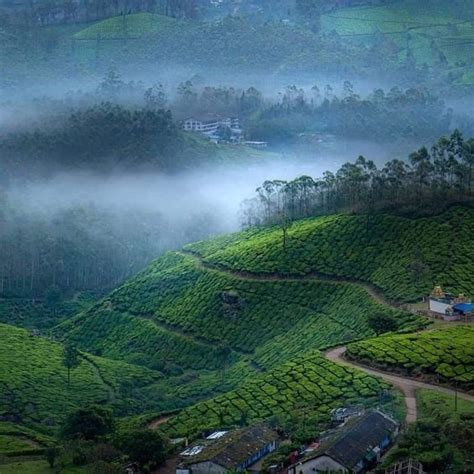 Kotagiri Weather: Exploring the Climate and Average Weather Year Round in Kotagiri - Styles Queues