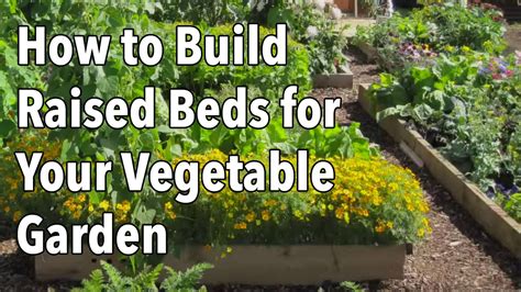 How To Build Raised Beds For Your Vegetable Garden Youtube