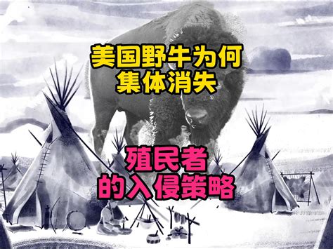 是什么杀死了所有美国野牛？（赶走原住民的丑恶做法） 奇幻日 奇幻日 哔哩哔哩视频