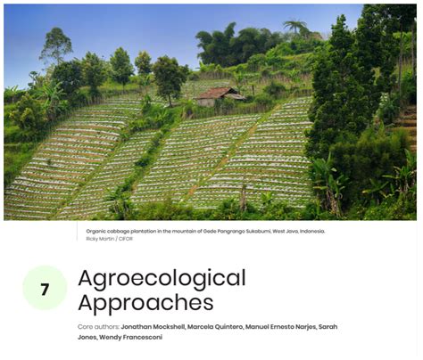 Agroecology Can Achieve Breakthroughs In The Agricultural Sector