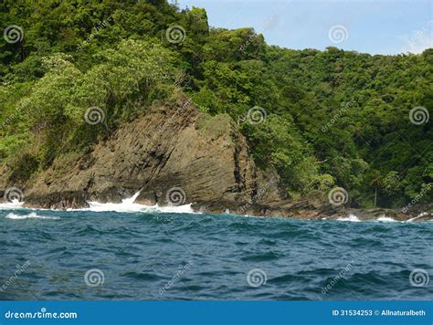 Rocas En Panamá Con Las Plantas Tropicales Y Los árboles Imagen de