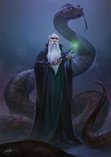 Salazar Slytherin Harry Potter Illustrations Harry Potter Artwork