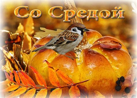 otzyvchivaya gif otkrytka  sredoy otkrytki onlayn