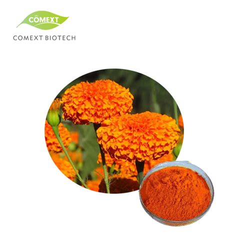 Comext ISO 22000 Plant Extract Factory Marigold Flower Powder HPLC 5