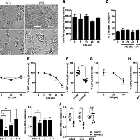 Lrh Inhibition Protects From Tnf Dependent Hepatitis Wild Type