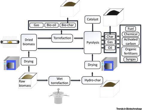 Pyrolysis Of Torrefied Biomass Trends In Biotechnology