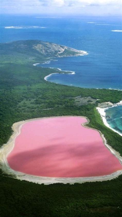 pink lake | Beautiful places on earth, Breathtaking places, Lake hillier