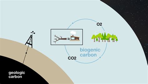 Wood Heat Is Essential To Carbon Drawdown Sustainable Heating