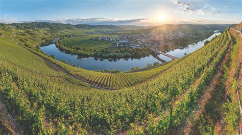 Moselweingut Hubertushof In Trittenheim Urlaub Und Genuss Am Fluss