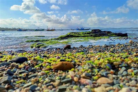 ban  hon mang hon dua web du lich hoi