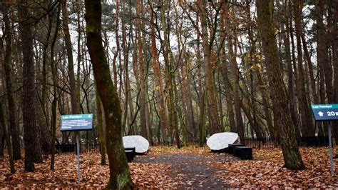 Pierwszy Las Pami Ci Powsta W Poznaniu Aib