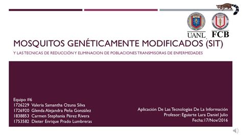 Mosquitos Gen Ticamente Modificados Sit Ppt Descargar