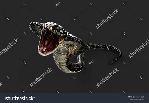 3d Illustration King Cobra Worlds Longest Stock Illustration 1243311208