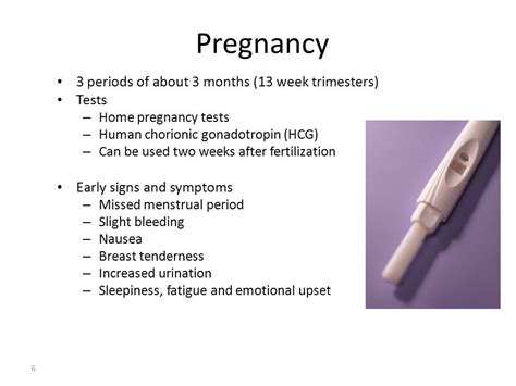 Signs And Symptoms Of Pregnancy At Two Weeks