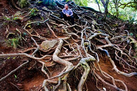 Devils Kitchen The Mystical Caves In Tamil Nadu