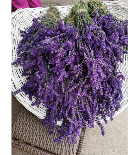 Fragrances of Ireland | Fragrances of Ireland