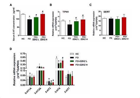 ZZKZ Regulated The Levels Of Serum 5 HT And Its Receptors In The Gut Of