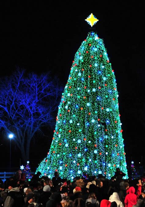 The National Christmas Tree Lighting in DC - All Photos - UPI.com