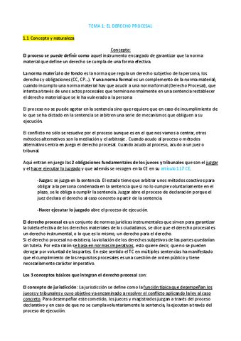 Tema Completo Pdf El Derecho Procesal Pdf