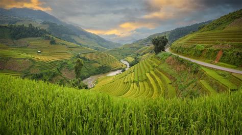 ifugao banaue rice terraces ifugao philippines banaue rice