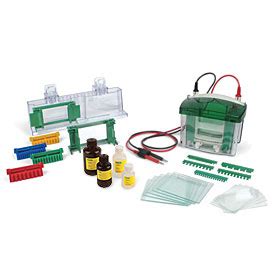 Mini-PROTEAN® Vertical Electrophoresis Cell, 4-gel, for 0.75 mm thick handcast gels #1658000FC ...