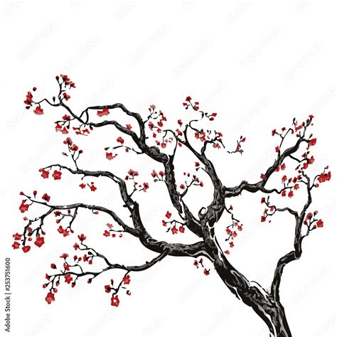 Sakura tree, cherry blossom vector illustration on white background ...