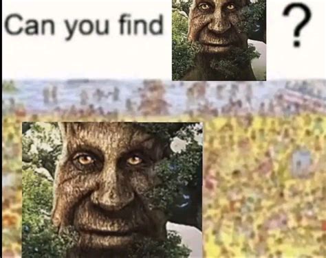 Wise Tree Tree Posting Wise Tree Funny Memes Funny Laugh