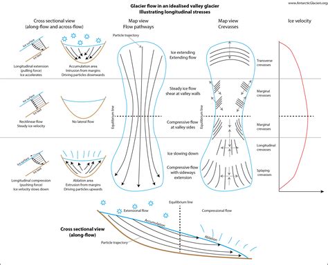 Longitudinal Stress