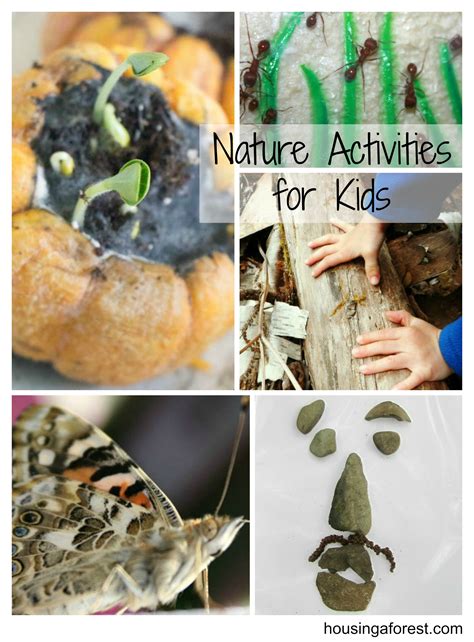 Nature Activities For Children