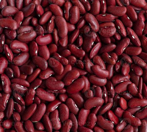 Frijoles Rojos Crudos Los Frijoles Son Una Fuente De Prote Na Vegetal