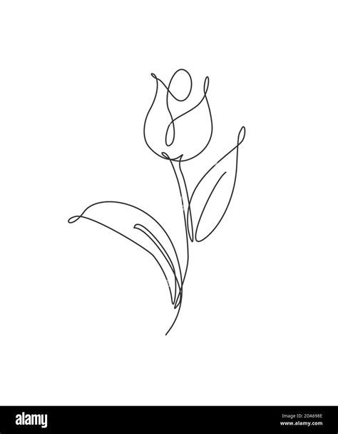 One Single Line Drawing Beauty Fresh Tulip Flower Vector Illustration