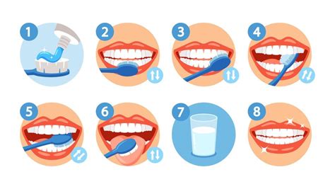 Esquema Paso A Paso Instrucción Sobre Cómo Cepillarse Los Dientes Correctamente Infografías