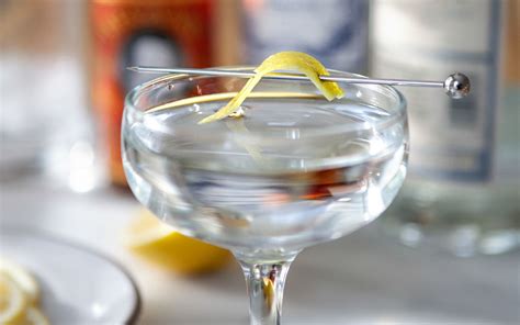 Gin Martini Recipe