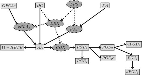 Topology Of The Signaling And Metabolic Pathway Of Eicosanoid