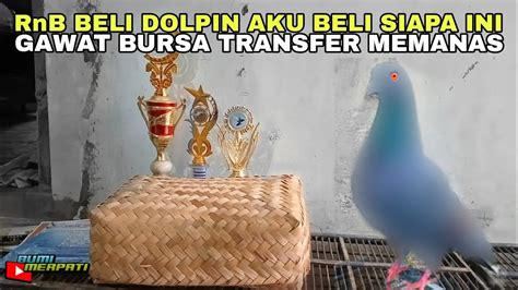 Merpati Baru Seharga Xxx Xxx Juta Baru Beli Langsung Tes Kolong