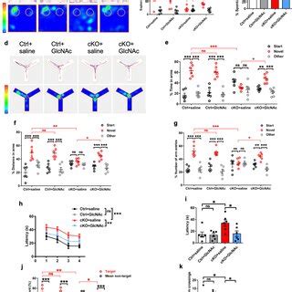 Restoration Of O GlcNAcylation Inhibits Reactivation And Inflammation