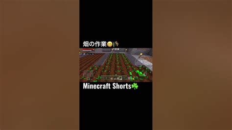 Minecraftshorts！minecraft畑の作業😁🌾minecraft Shorts Youtube