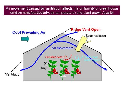 Greenhouse Ventilation Tips - SuntexCP