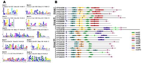 Sequence Logos For The Conserved Motifs Of Duf Proteins In Plants