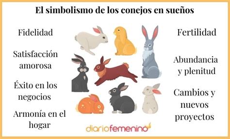 Descubre el significado de soñar con conejos guía completa Que